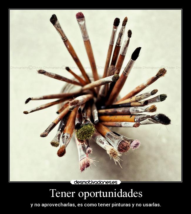 Tener oportunidades - 