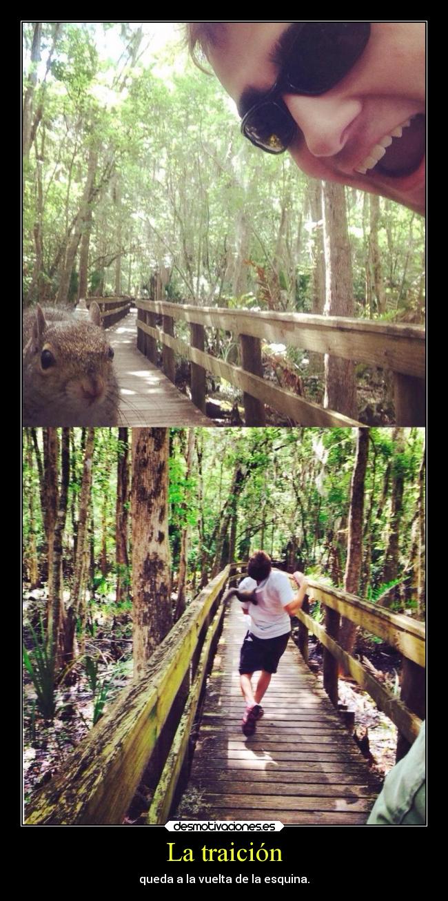 carteles desmotivaciones graciosas desmotivaciones