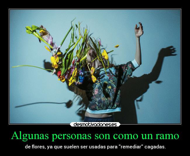 carteles desmotivaciones kendizzzle ramo flores cagadas green desmotivaciones