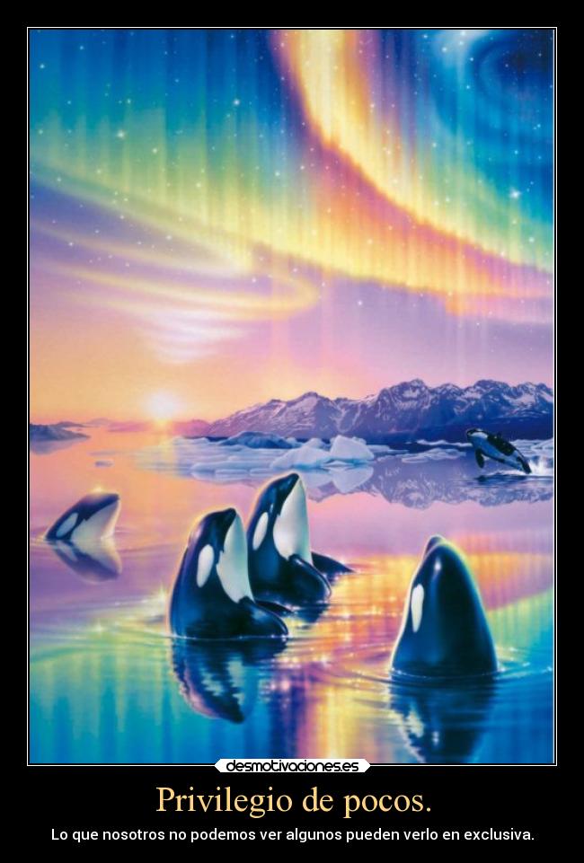 Privilegio de pocos. -
