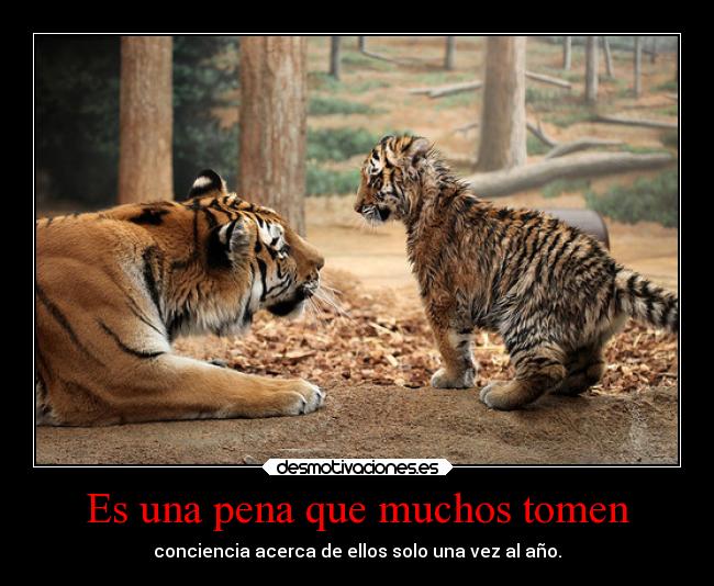 Es una pena que muchos tomen -