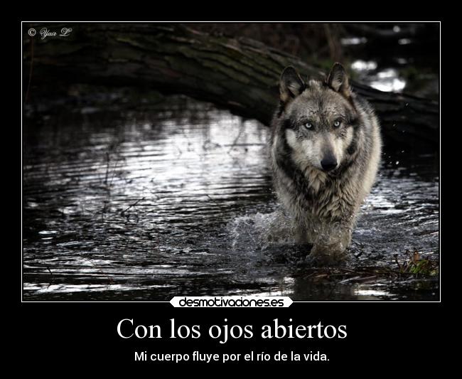 carteles destino ausencia bogota arte confianza desmotivaciones