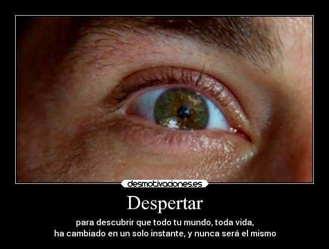 Despertar - para descubrir que todo tu mundo, toda vida,
ha cambiado en un solo instante, y nunca será el mismo