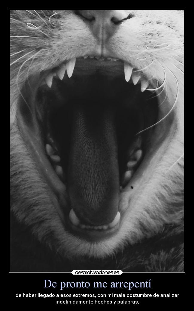 De pronto me arrepentí - 