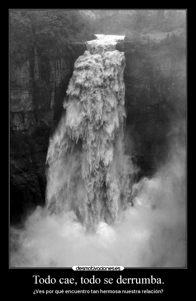 carteles dolor notangeneralizadoperosi carolf27 myblackandwhiteworld xperfectweaponx bellezaquenotodosven x1d desmotivaciones