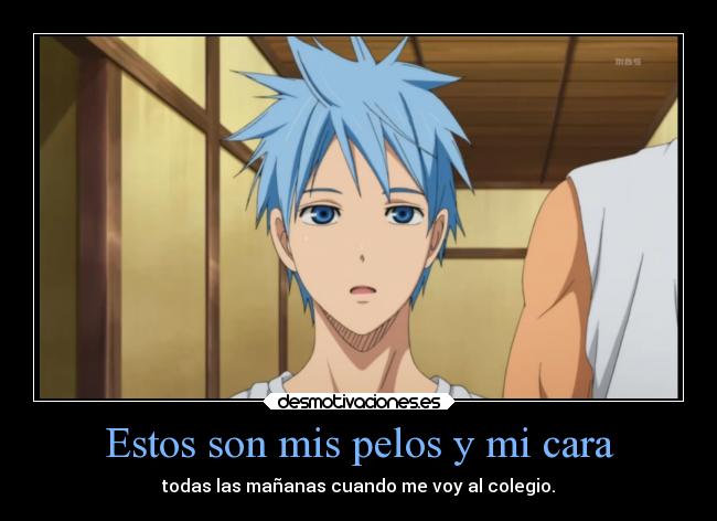 Estos son mis pelos y mi cara -