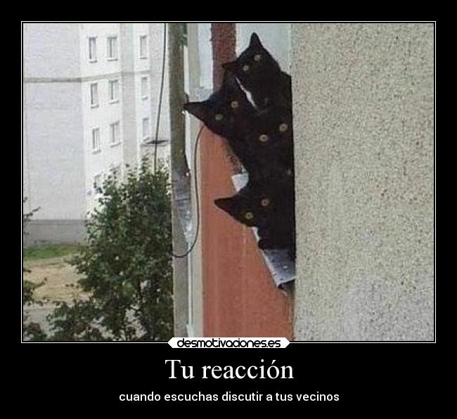 Tu reacción - cuando escuchas discutir a tus vecinos