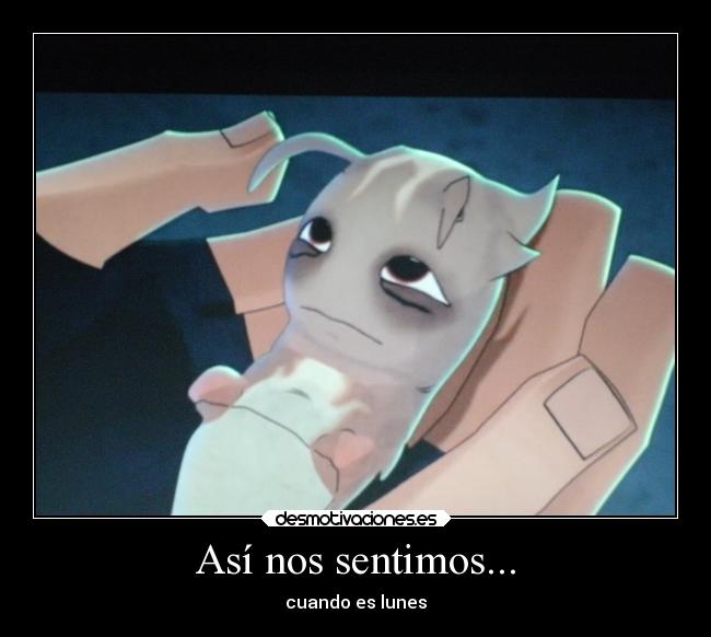 Usuario: berpi | Desmotivaciones