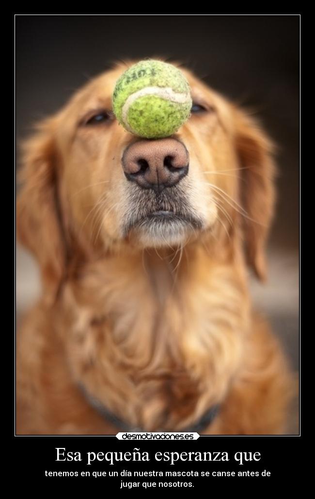 Esa pequeña esperanza que - 