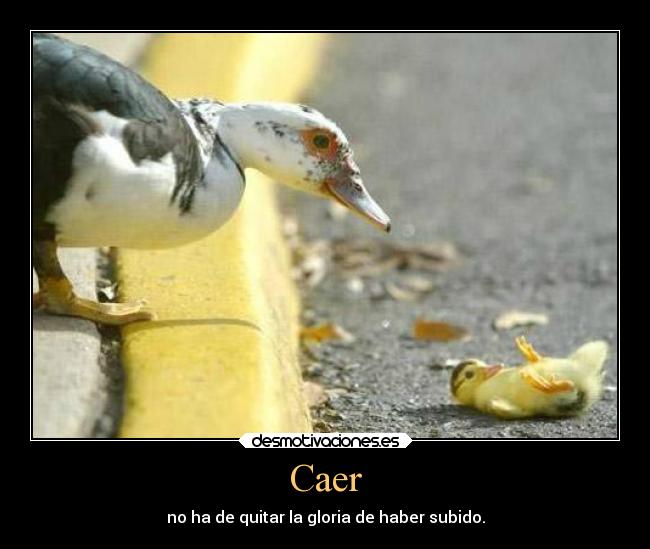 Caer - 