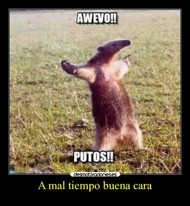 A mal tiempo buena cara -