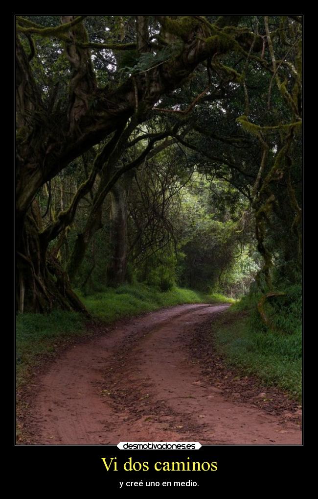 Vi dos caminos - 