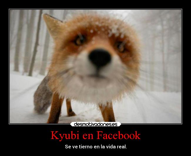 Kyubi en Facebook - 