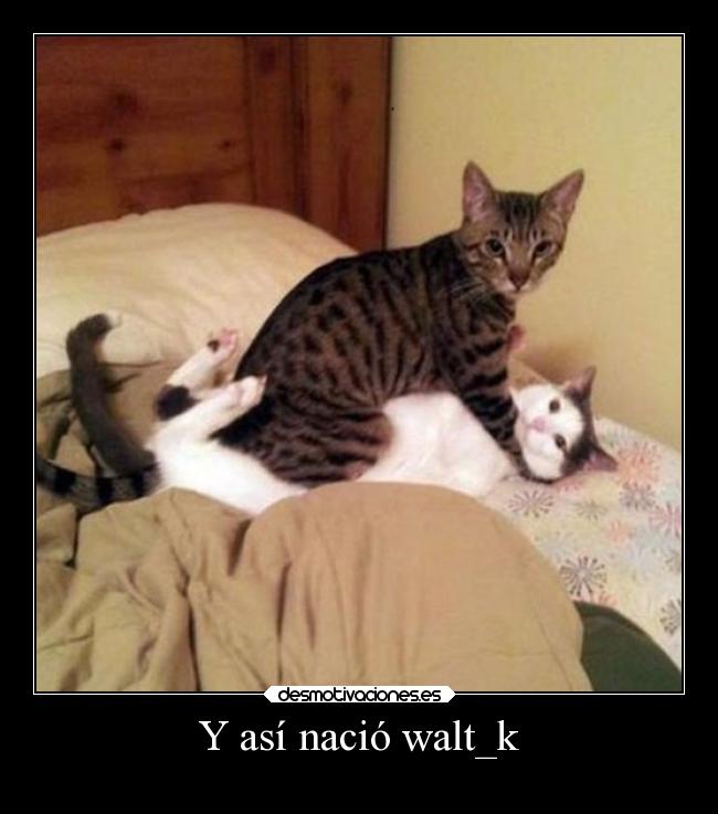 carteles fail amorhoygan desmotivaciones