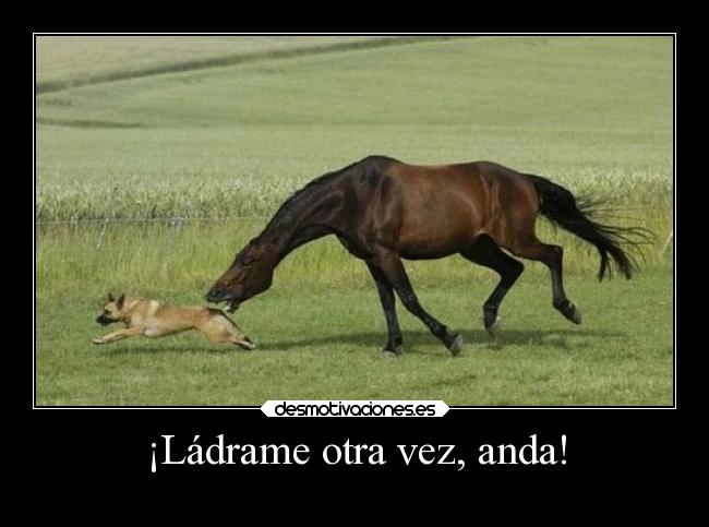 ¡Ládrame otra vez, anda! - 