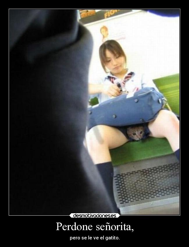 Perdone señorita, - 