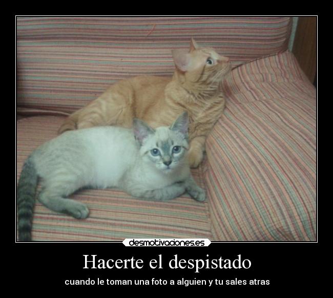 carteles fail desmotivaciones