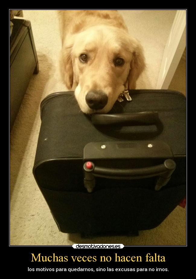 Muchas veces no hacen falta - los motivos para quedarnos, sino las excusas para no irnos.