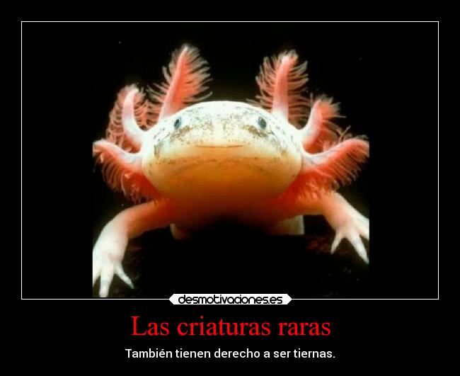 Las criaturas raras - 