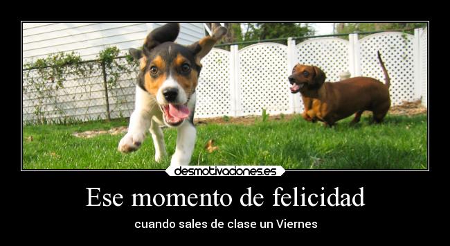 Ese momento de felicidad -