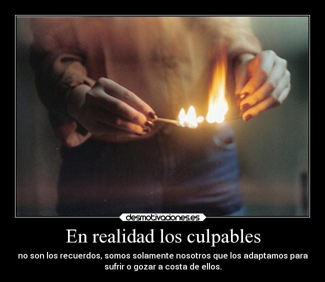 En realidad los culpables -