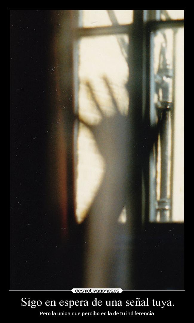 carteles frases amor senal indiferencia laprincesita desmotivaciones