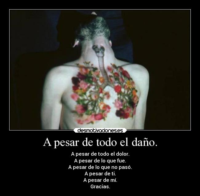 A pesar de todo el daño. - 