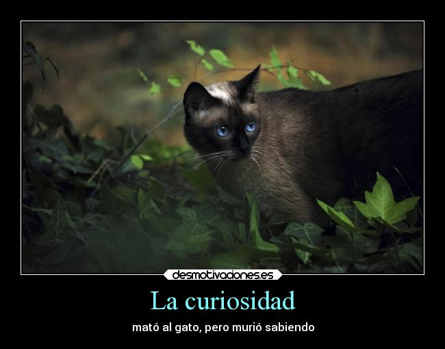 La curiosidad - 