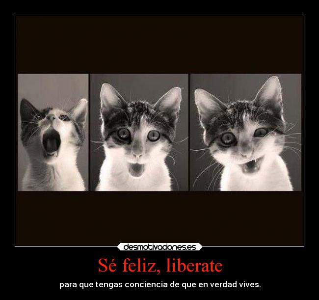 Sé feliz, liberate - para que tengas conciencia de que en verdad vives.