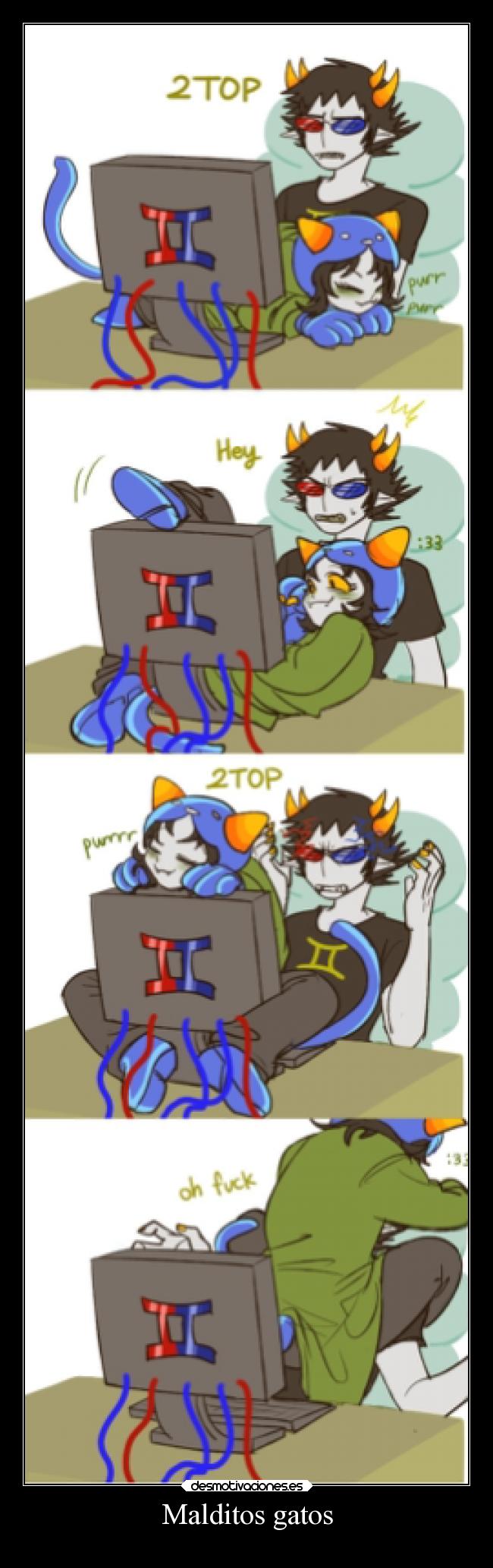 Malditos gatos -