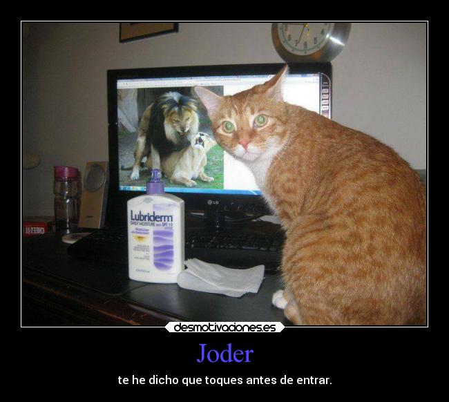 carteles gatos animales privacidad clandesplazado soyunidiotatm desmotivaciones