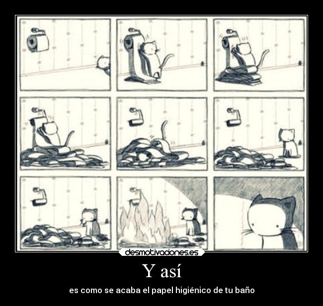 carteles gatos desmotivaciones