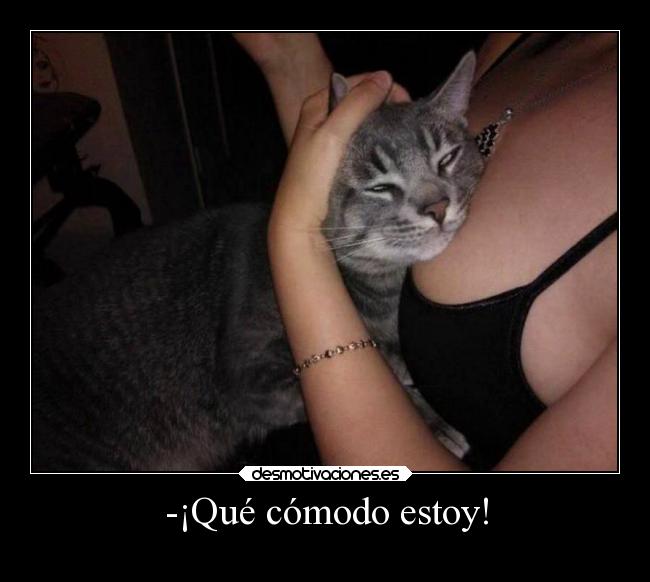 -¡Qué cómodo estoy! -