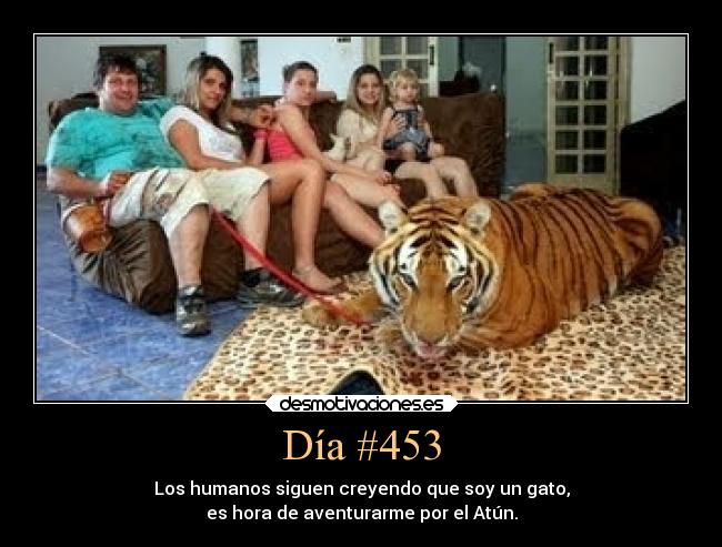 Día #453 - 
