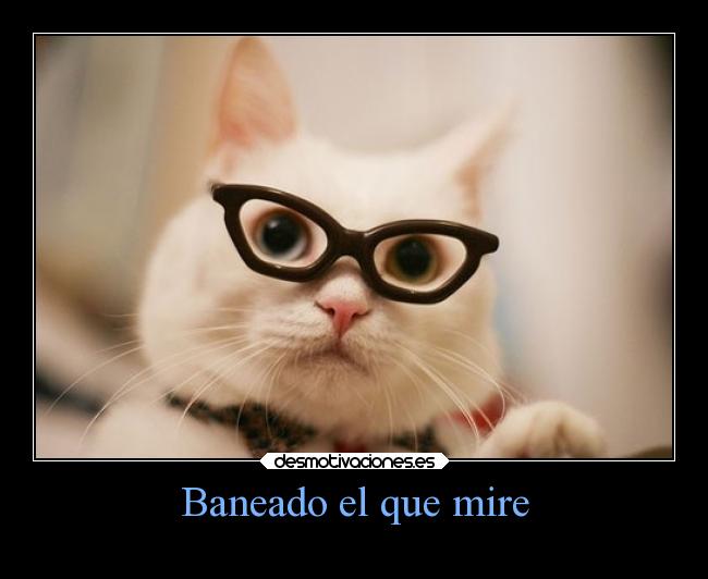 carteles gatos slipkdemon clandesplazado hipster walt admin banear desmotivaciones