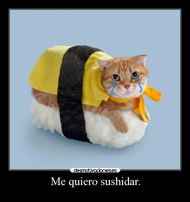 carteles gatos sushi suicidio blablabla sushidio desmotivaciones