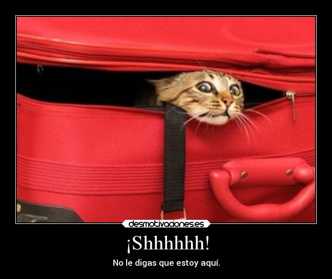 ¡Shhhhhh! -