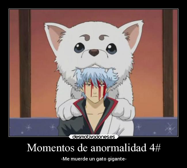 Momentos de anormalidad 4# - -Me muerde un gato gigante-