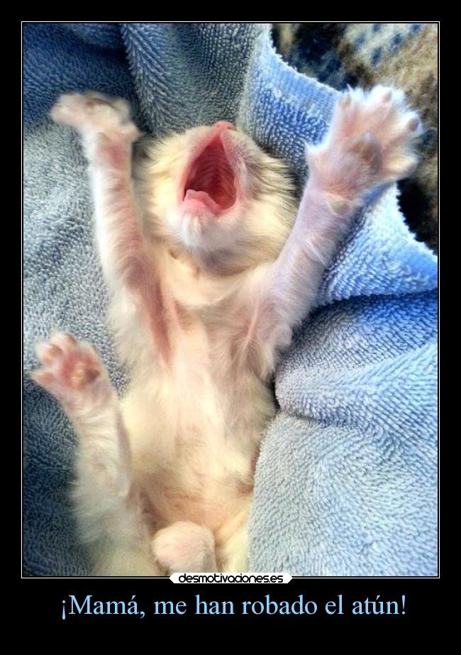¡Mamá, me han robado el atún! -