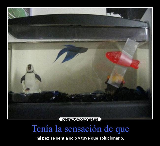 Tenía la sensación de que -