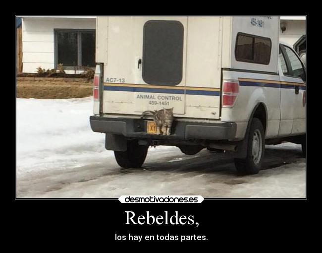 Rebeldes, - los hay en todas partes.