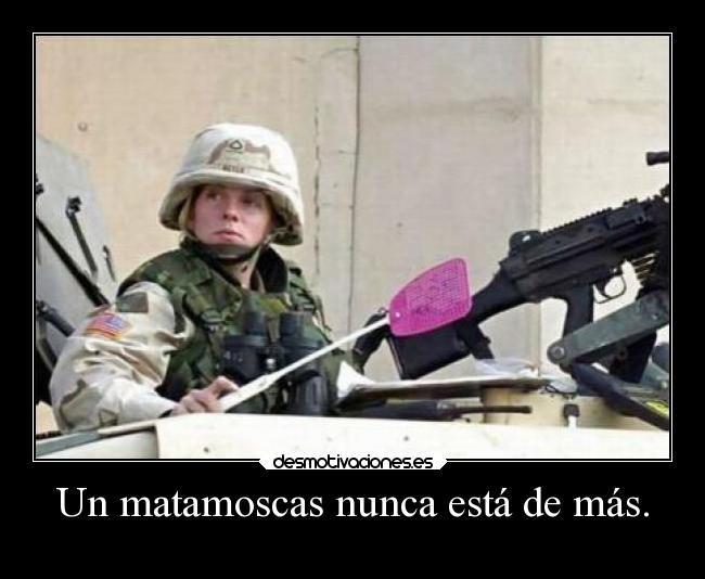 Un matamoscas nunca está de más. - 