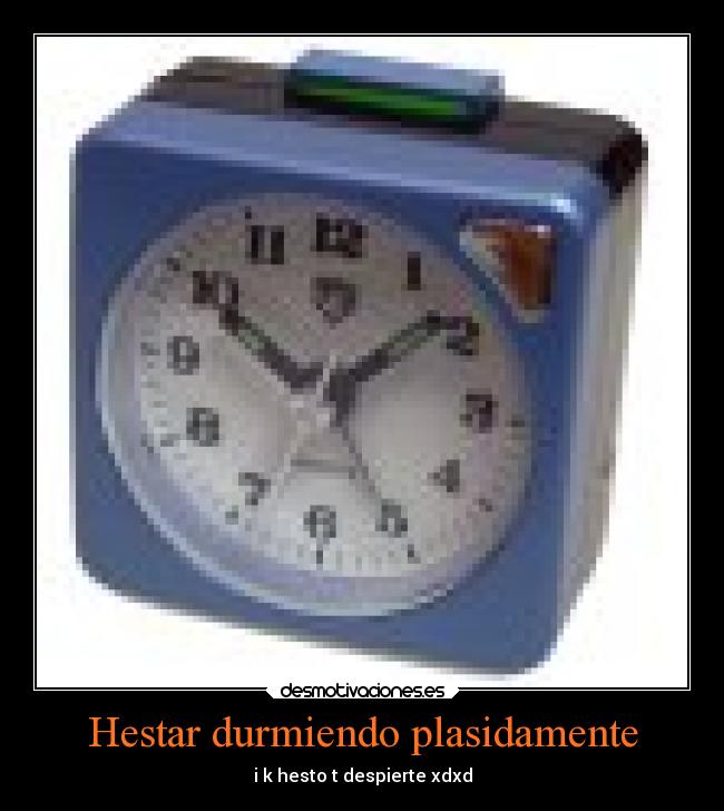 Hestar durmiendo plasidamente - i k hesto t despierte xdxd