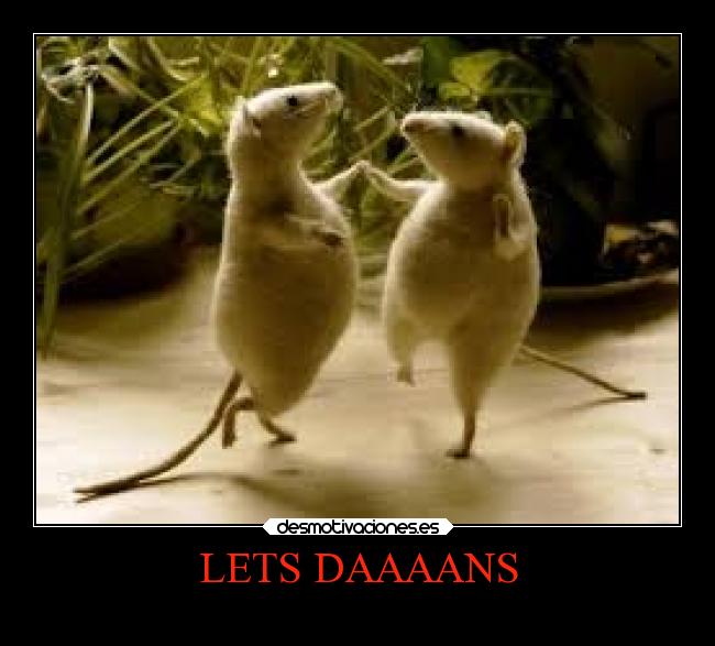 LETS DAAAANS -