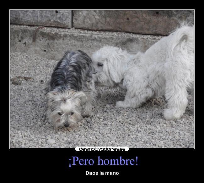 carteles humor desmotivaciones