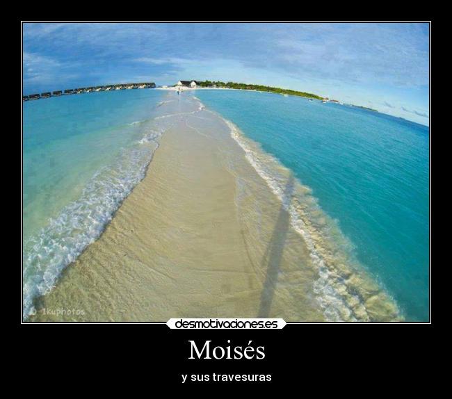 Moisés -
