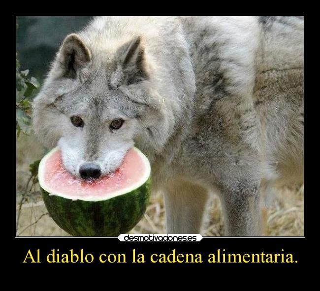 Al diablo con la cadena alimentaria. - 
