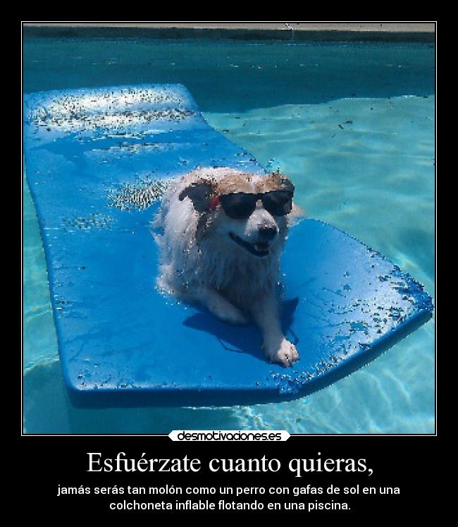 Esfuérzate cuanto quieras, -