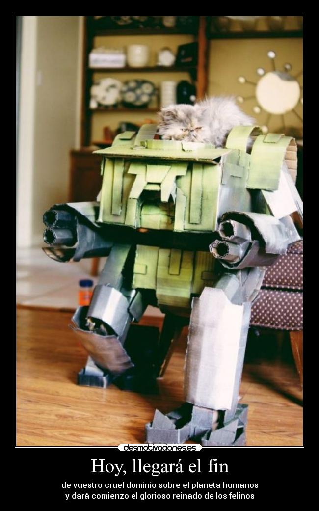 carteles humor gato apoderarse del palneta desmotivaciones