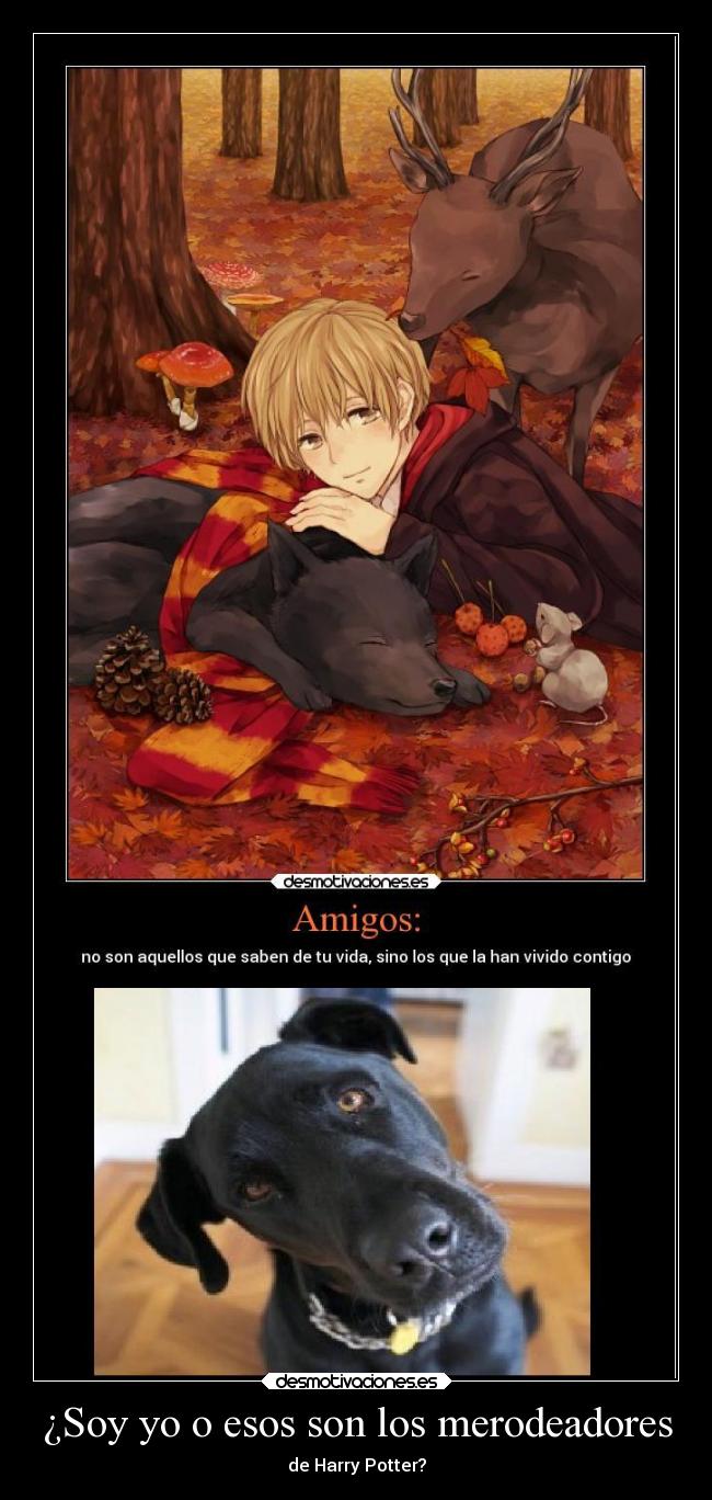 ¿Soy yo o esos son los merodeadores - de Harry Potter?